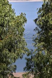 Image du Maroc Professionnelle de  Le barrage Oued El Makhazine, conçu pour le développement et  l'irrigation du périmètre du Loukkos. Ainsi les champs situés dans le triangle Ksar El Kébir, Larache, Moulay Bouselham profitent de cette infrastructure. Cette importante réalisation située sur El Oued Loukkos sert à la régularisation inter annuelle des débits tout en formant une protection contre les crues, au Jeudi 1er Septembre 2005 à cette datte le barrage dispose 309 Million de M3. (Photo / Abdeljalil Bounhar)